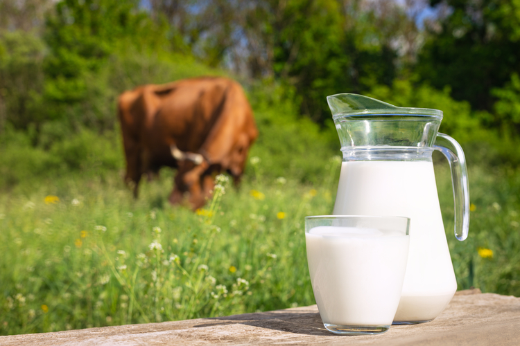 RAW DAIRY MILK PRODUCTS